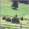 [thumbnail of Glos_Katolicki_2004_22 (2097).pdf]