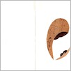 [thumbnail of 10517b.jpg]