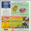 [thumbnail of Dzien dobry_nr112.pdf]