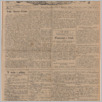 [thumbnail of Gazeta_Polska_Brazylia_1924_03.pdf]