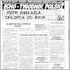 [thumbnail of Echo_1988_49.pdf]